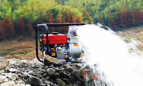 汽油机水泵不打火_汽油机水泵着不住火咋回事呢